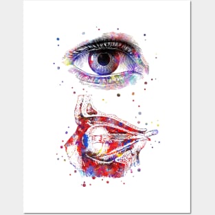 Human eye Posters and Art